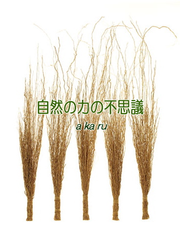 アカル