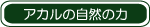 �A�J���̗�